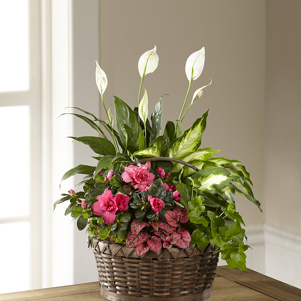 Dream in Pink Dishgarden – Rosehaus Floral, Suamico WI