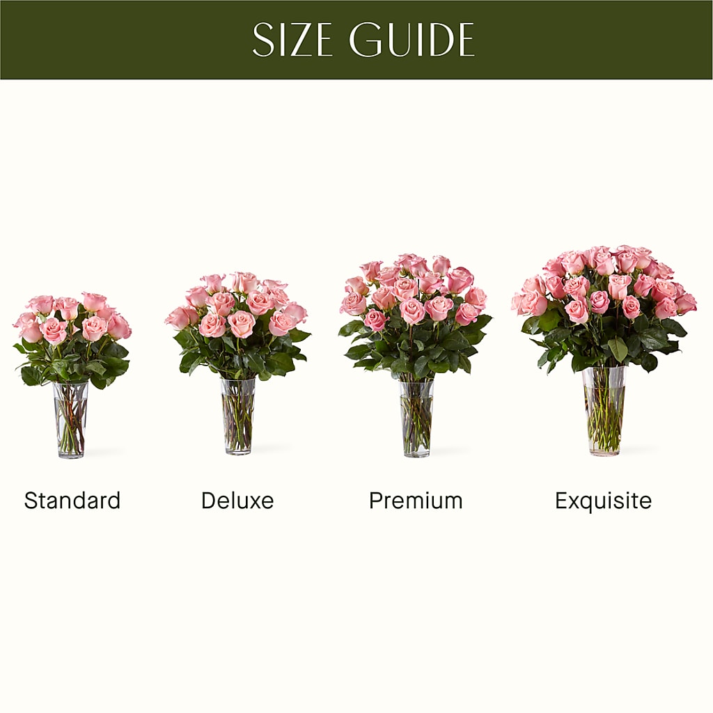 Long Stem Pink Rose Bouquet – Rosehaus Floral, Suamico WI