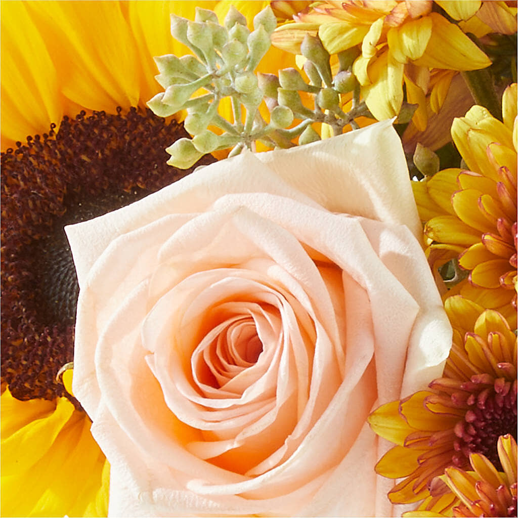 Pumpkin to Talk About Bouquet – Rosehaus Floral, Suamico WI