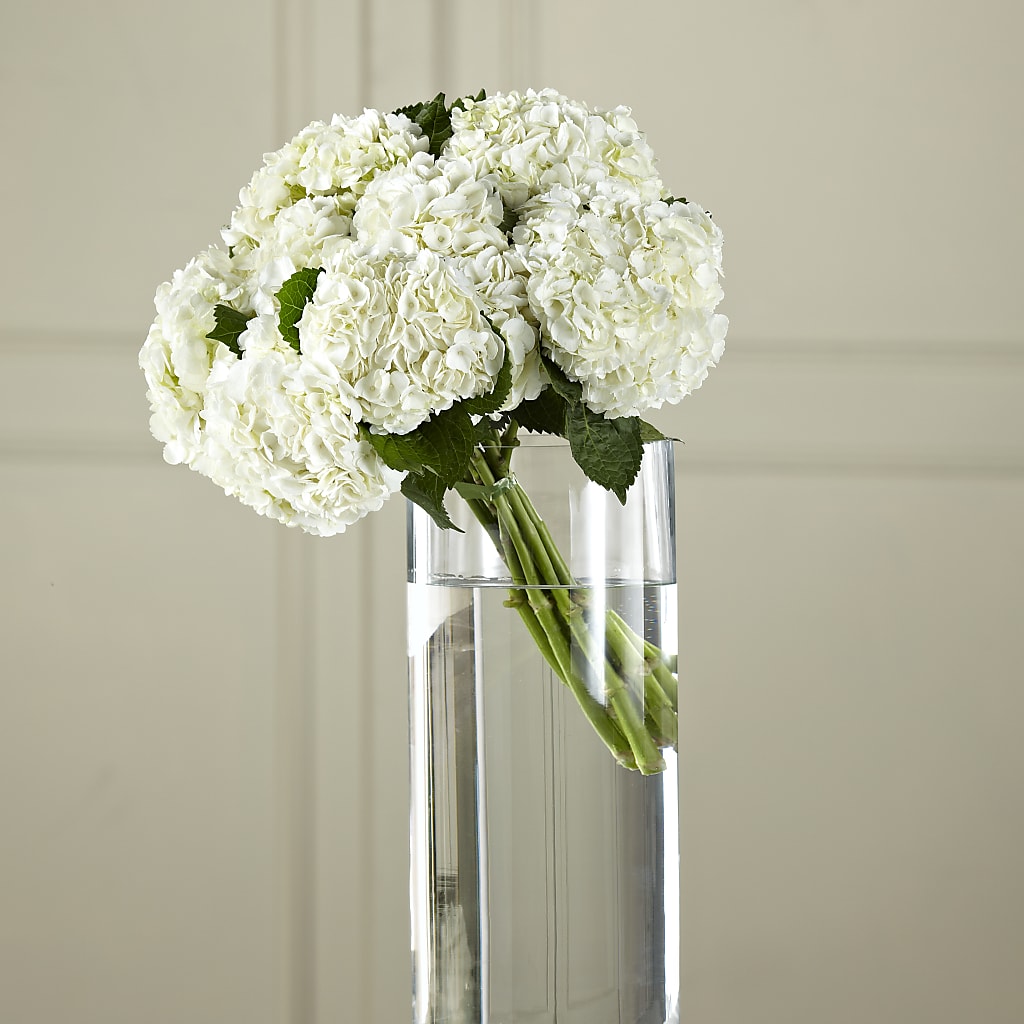 White Hydrangea Hand-Tied Bouquet – Rosehaus Floral, Suamico WI
