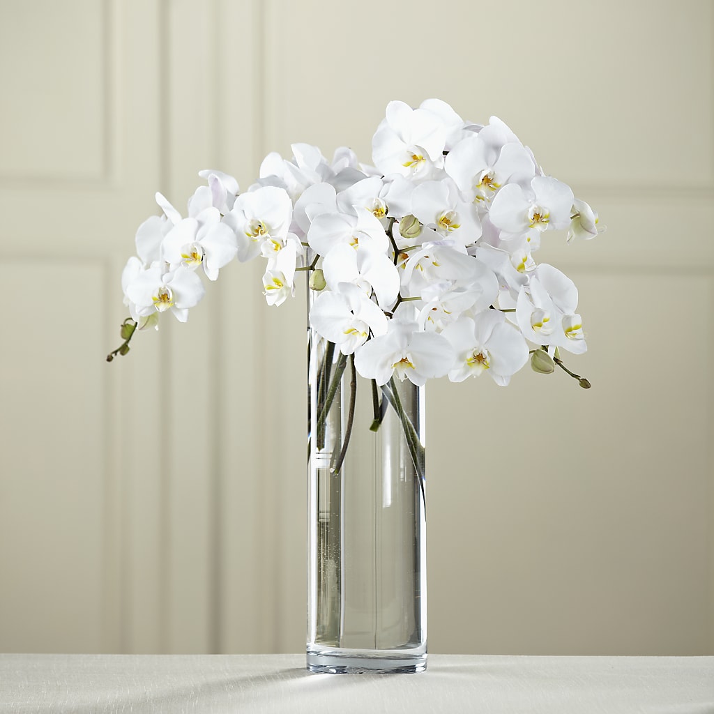 White Phalaenopsis Bouquet – Rosehaus Floral, Suamico WI