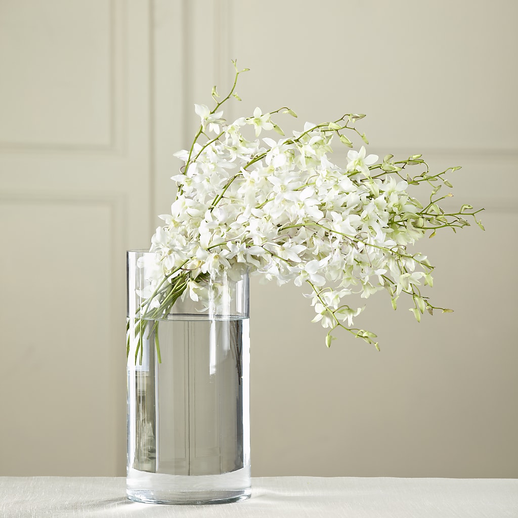 White Dendrobium Bouquet – Rosehaus Floral, Suamico WI