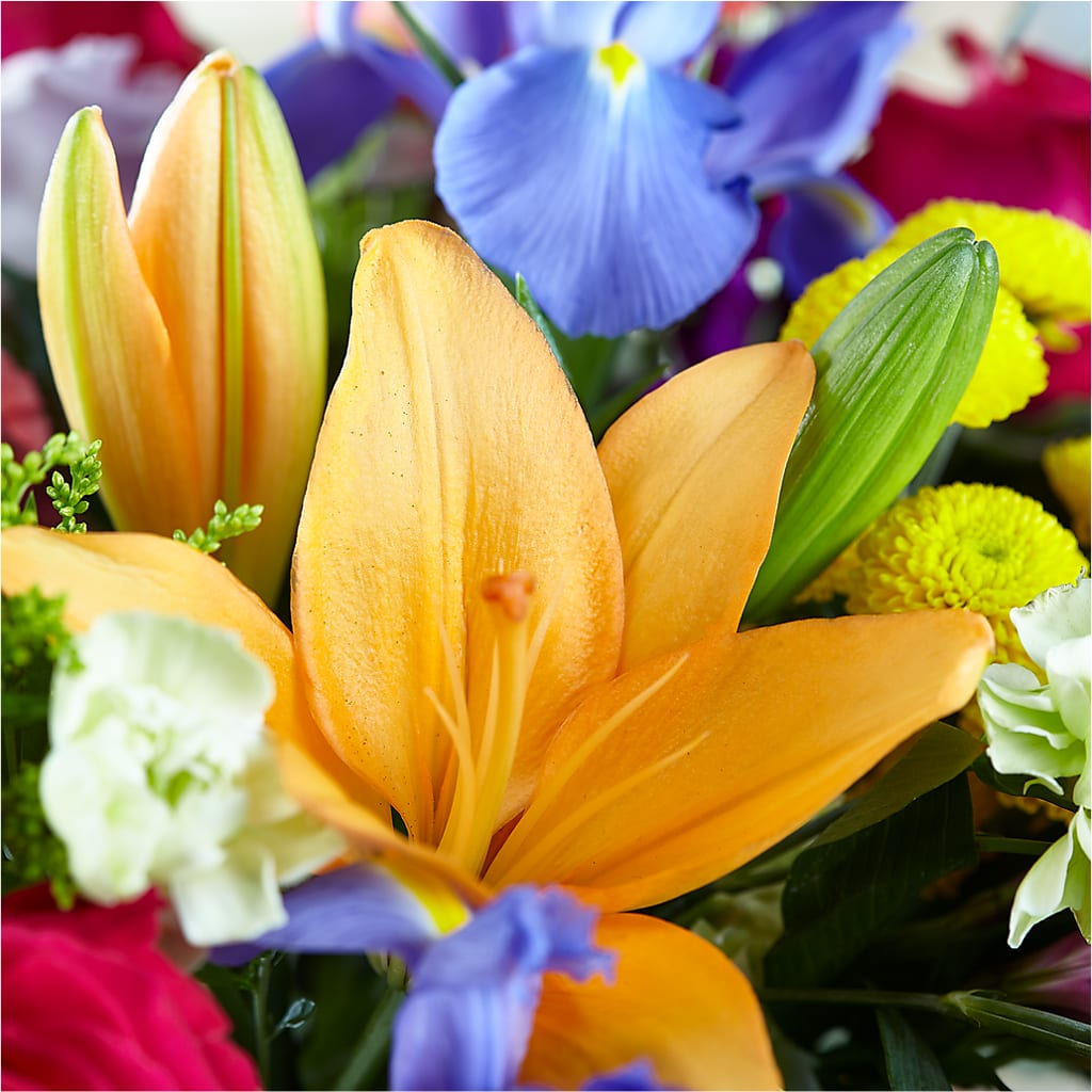 Bold & Bright – A Florist Original –  Rosehaus Floral, Suamico WI