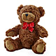 Adorable Plush Bear –  Rosehaus Floral, Suamico WI