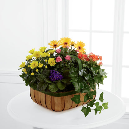 Gentle Blossoms Basket –  Rosehaus Floral, Suamico WI