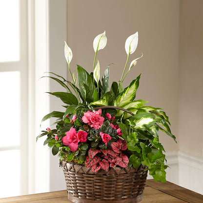 Dream in Pink Dishgarden –  Rosehaus Floral, Suamico WI