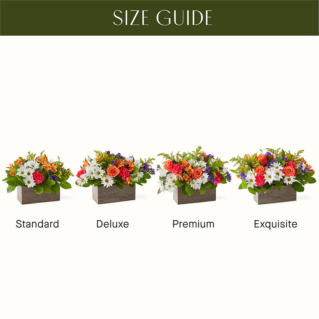 Oopsie Daisy Box Bouquet –  Rosehaus Floral, Suamico WI