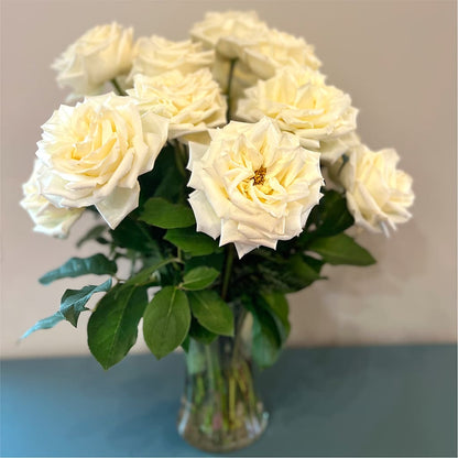 Long Stem Yellow Rose Bouquet –  Rosehaus Floral, Suamico WI
