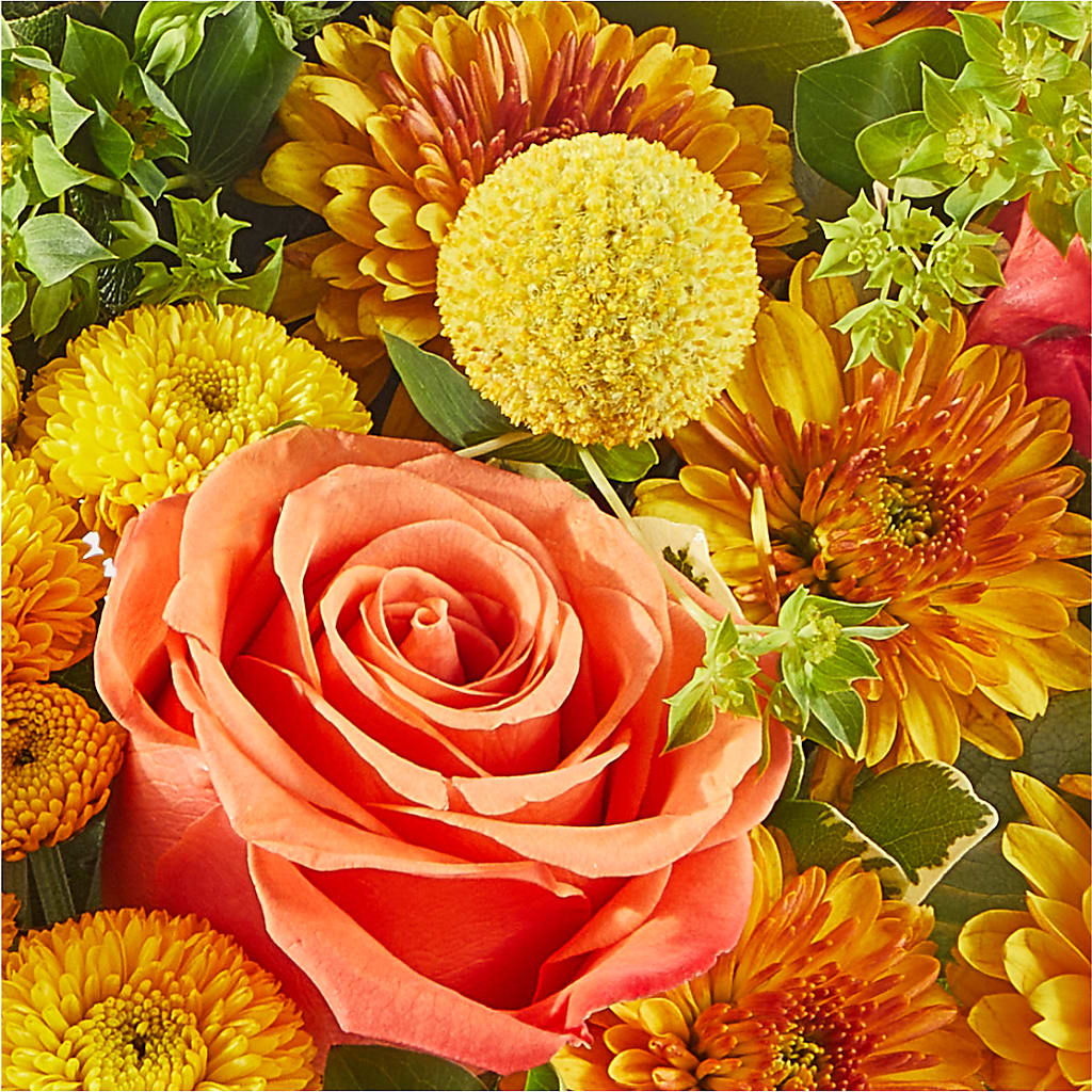 Gourdgeous Pumpkin –  Rosehaus Floral, Suamico WI