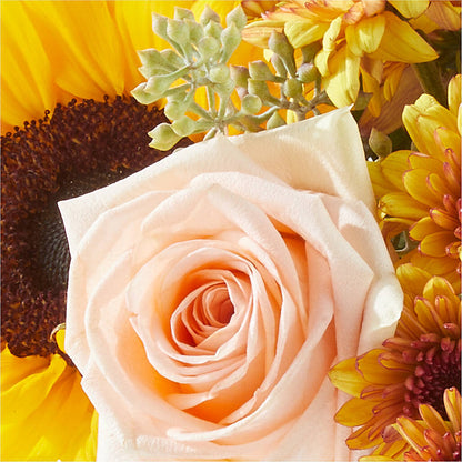 Pumpkin to Talk About Bouquet –  Rosehaus Floral, Suamico WI