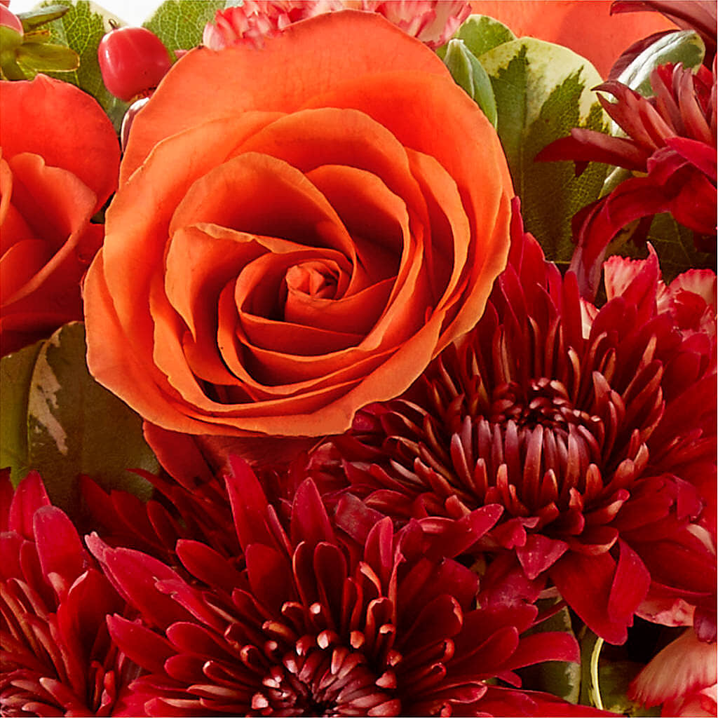 Autumn Air Pumpkin Bouquet –  Rosehaus Floral, Suamico WI