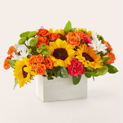 Sun-drenched Blooms Box Bouquet –  Rosehaus Floral, Suamico WI