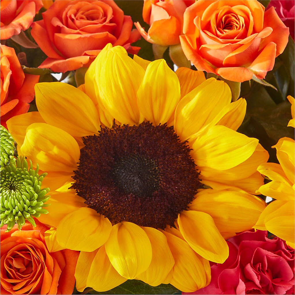 Sun-drenched Blooms Box Bouquet –  Rosehaus Floral, Suamico WI
