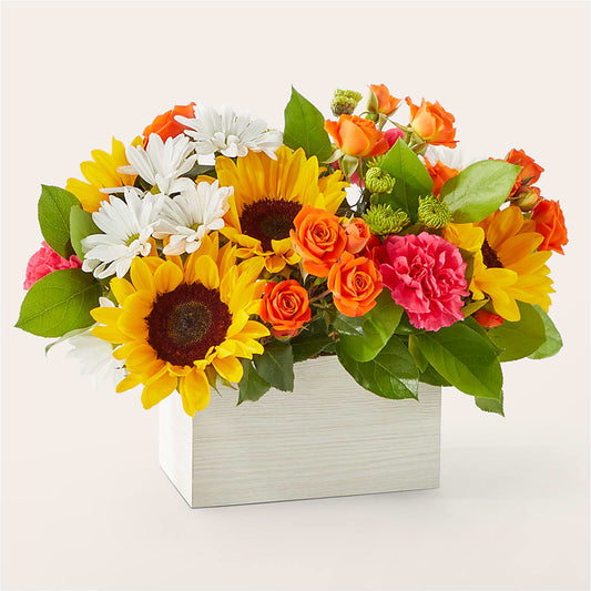Sun-drenched Blooms Box Bouquet –  Rosehaus Floral, Suamico WI