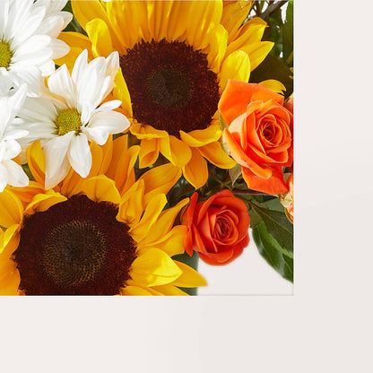 Sun-drenched Blooms Box Bouquet –  Rosehaus Floral, Suamico WI