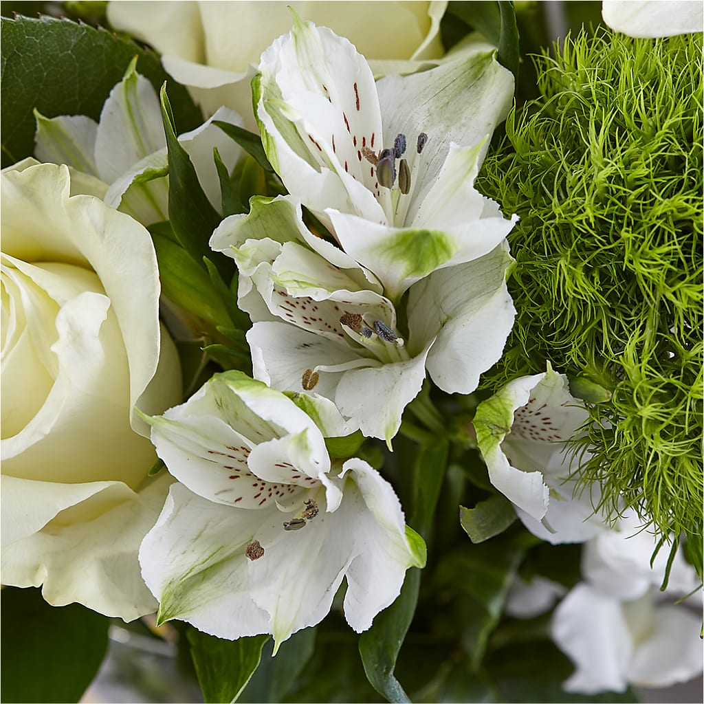 Classic Ivory – A Florist Original –  Rosehaus Floral, Suamico WI