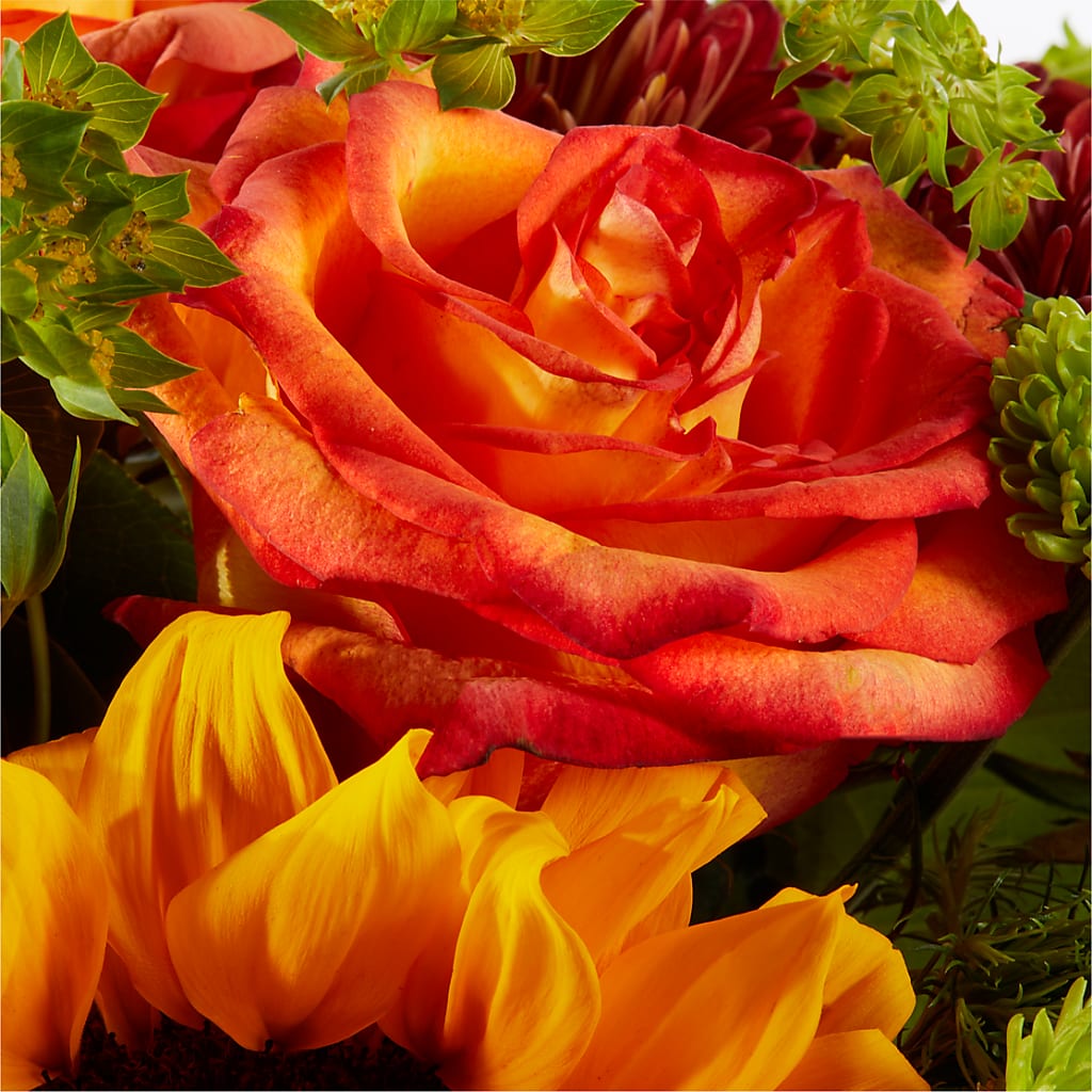 Harvest Festival Bouquet –  Rosehaus Floral, Suamico WI