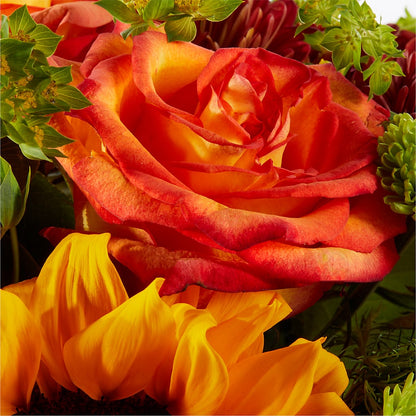 Harvest Festival Bouquet –  Rosehaus Floral, Suamico WI