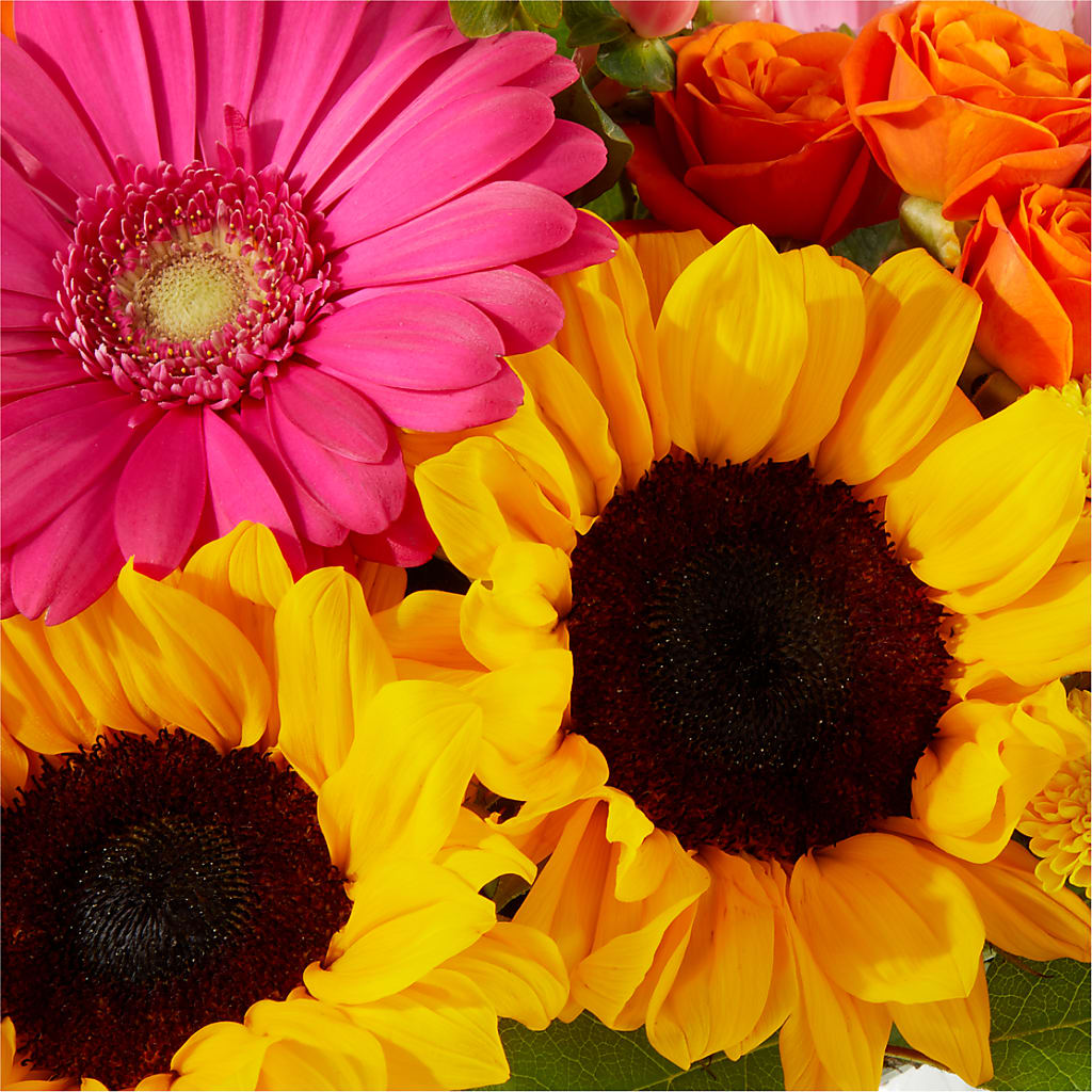 Beach Day Bouquet –  Rosehaus Floral, Suamico WI