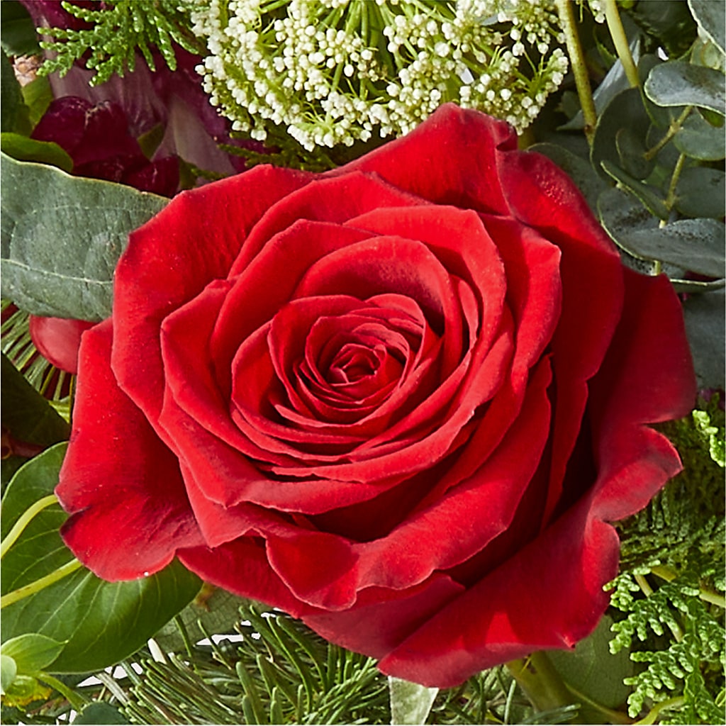 Cranberry Fizz Bouquet –  Rosehaus Floral, Suamico WI