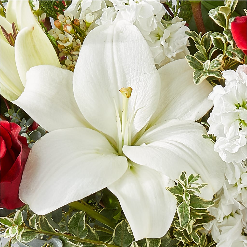 Twinkle Lights Bouquet –  Rosehaus Floral, Suamico WI