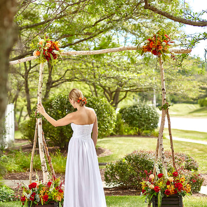 Arbor of Love Archway –  Rosehaus Floral, Suamico WI