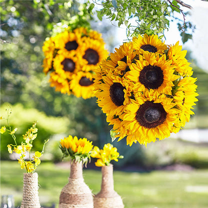 Sublime Garden Hanging Arrangement –  Rosehaus Floral, Suamico WI