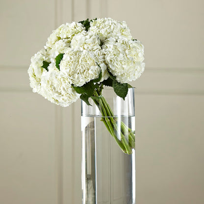 White Hydrangea Hand-Tied Bouquet –  Rosehaus Floral, Suamico WI