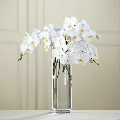 White Phalaenopsis Bouquet –  Rosehaus Floral, Suamico WI